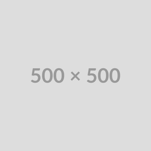 500x500
